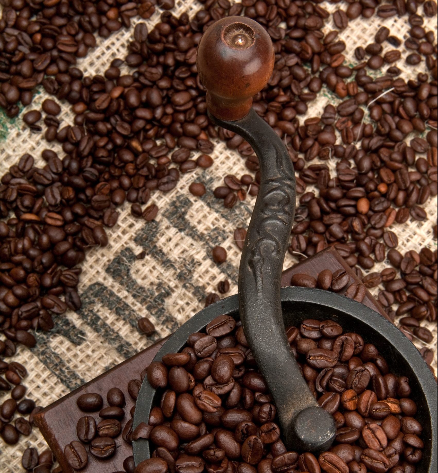 Coffee Beans and Grinder