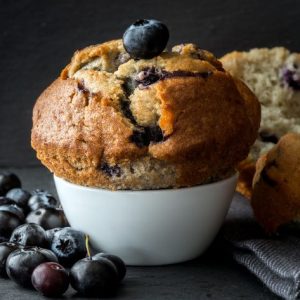 New for 2024 Blueberry Muffin